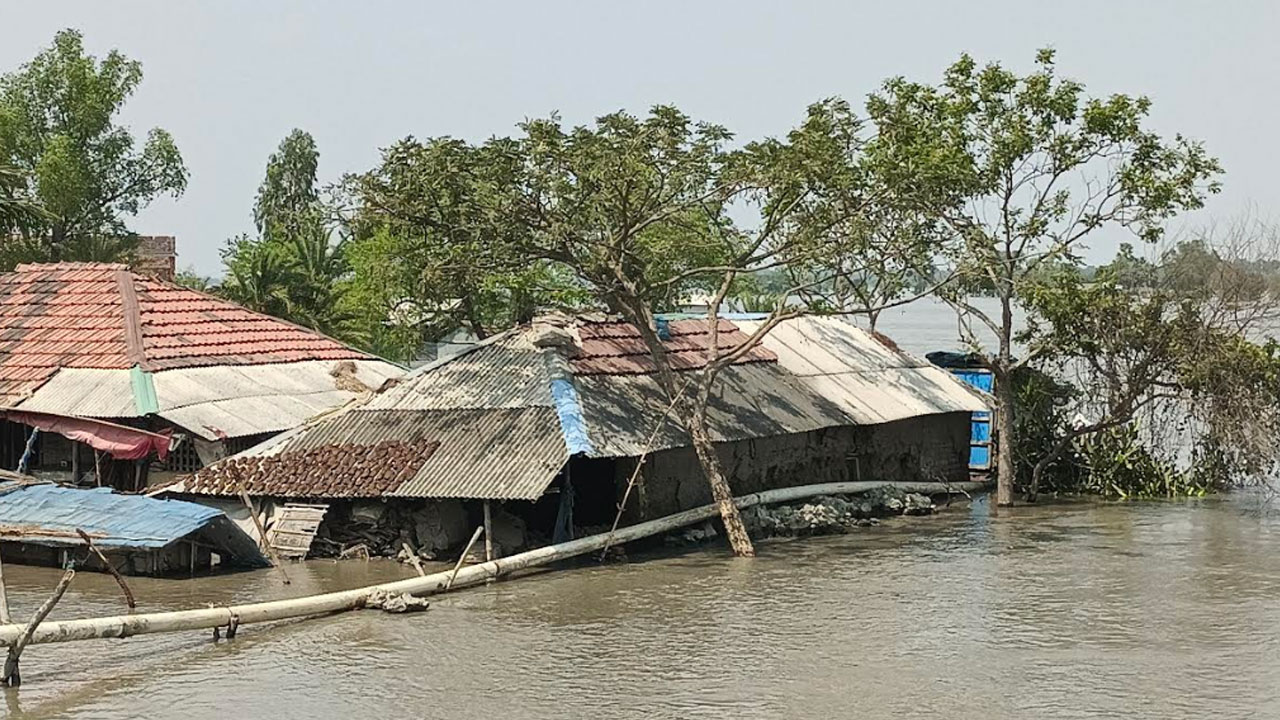 গ্রামবাসীদের অভিযোগ, সরকারি সহায়তা এখনো পর্যাপ্ত পরিমাণে পৌঁছায়নি। আশ্রয়কেন্দ্রগুলোতে জায়গা সংকট থাকায় অনেকে গৃহস্থালির জিনিসপত্র নিয়ে উঁচু স্থানে আশ্রয় নিয়েছেন। তবে সেখানে খাবার ও বিশুদ্ধ পানির সংকট তীব্র হয়ে উঠেছে। আনুলিয়া ইউনিয়নের চেয়ারম্যান রুহুল কুদ্দুস বলেন, পরিস্থিতি প্রতিনিয়ত খারাপ হচ্ছে। দুপুরের জোয়ারে আরও নতুন এলাকা প্লাবিত হয়েছে। মানুষ মানবেতর জীবন যাপন করছে। এ বিষয়ে আশাশুনি উপজেলা নির্বাহী অফিসার কৃষ্ণা রায় বলেন, আমাদের পর্যাপ্ত ব্যবস্থা রয়েছে যদি কেউ জানায় তাহলে আমরা সরবরাহ করতে পারব।